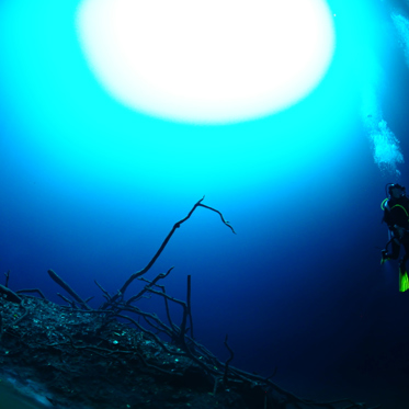 The Surreal Underwater River of Mexico