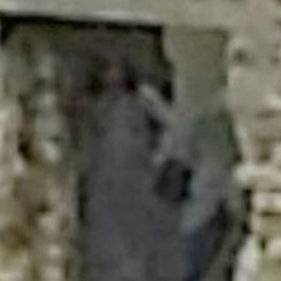Photo From Dudley Castle May Show Grey Lady Ghost