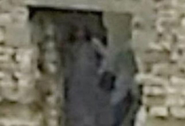 Photo From Dudley Castle May Show Grey Lady Ghost