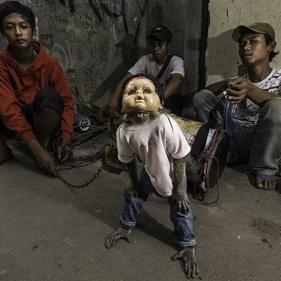 The Creepy Masked Monkey Village of Jakarta
