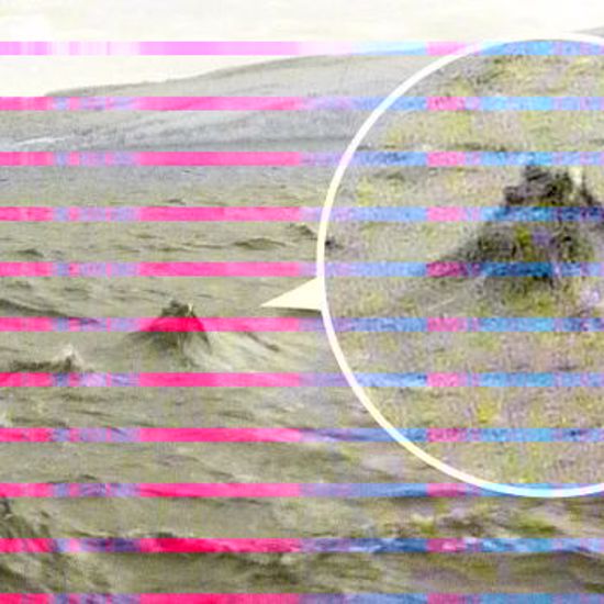 New Photos and Video Surface of Loch Ness Monster Surfacing