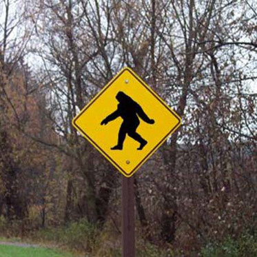 Bigfoot May be Classified as an Endangered Species