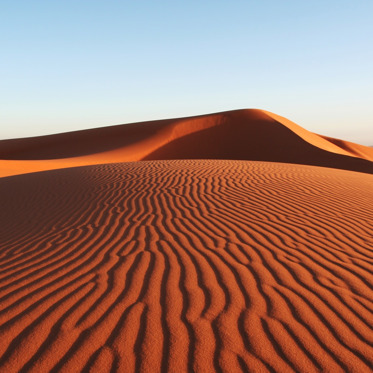 Eaten Alive!  …By Sand?