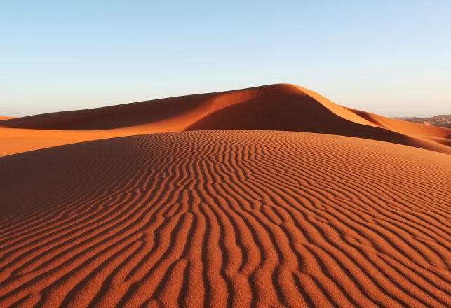 Eaten Alive!  …By Sand?