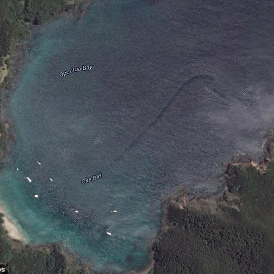 Sea Creature Spotted in New Zealand Waters by Google Earth
