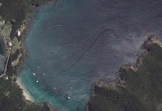 Sea Creature Spotted in New Zealand Waters by Google Earth