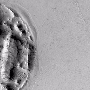 Martian Cookie is a Monster and a Mystery