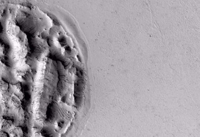 Martian Cookie is a Monster and a Mystery