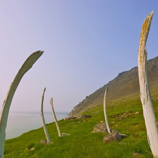 Siberia’s Whale Bone Alley: Stonehenge’s Eerie Russian Cousin