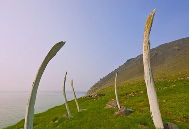 Siberia’s Whale Bone Alley: Stonehenge’s Eerie Russian Cousin