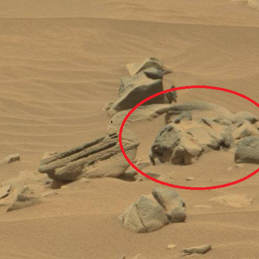 Cat Statue on Mars May Be Warning for Stowaway Rodents