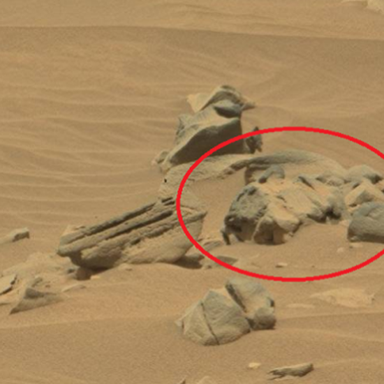 Cat Statue on Mars May Be Warning for Stowaway Rodents