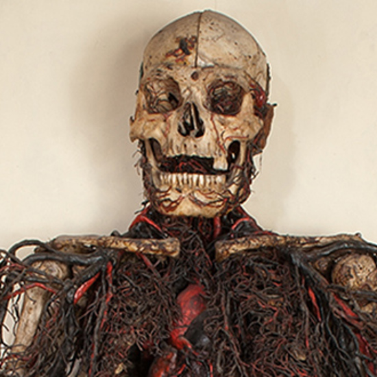 The Bizarre Anatomical Machines of Italy