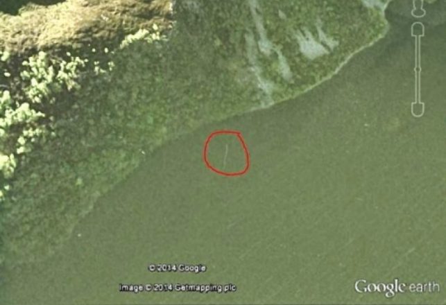 Loch Ness Monster Photo Wins Prize But is it Nessie?