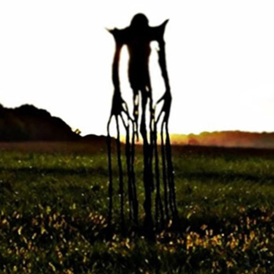 Slenderman: The Cannock Chase Controversy