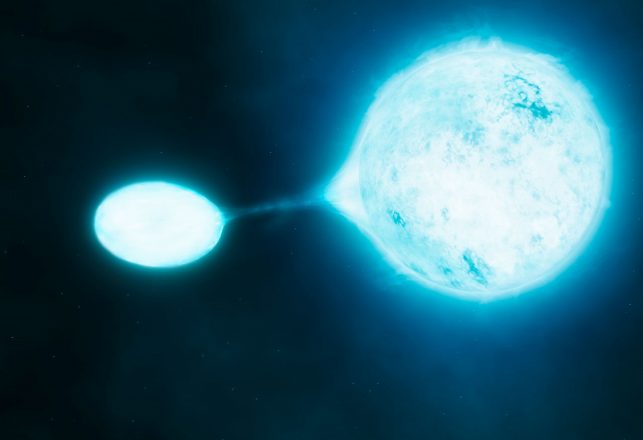 Another Thing to Worry About – Life  Forms That Eat Stars