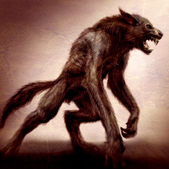 Werewolves Or Bipedal Wolves?