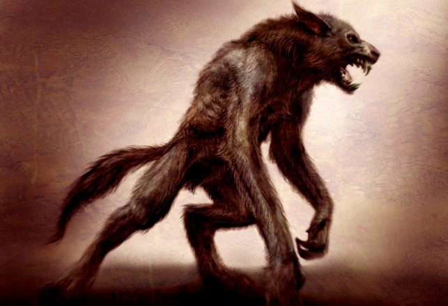 Werewolves Or Bipedal Wolves?