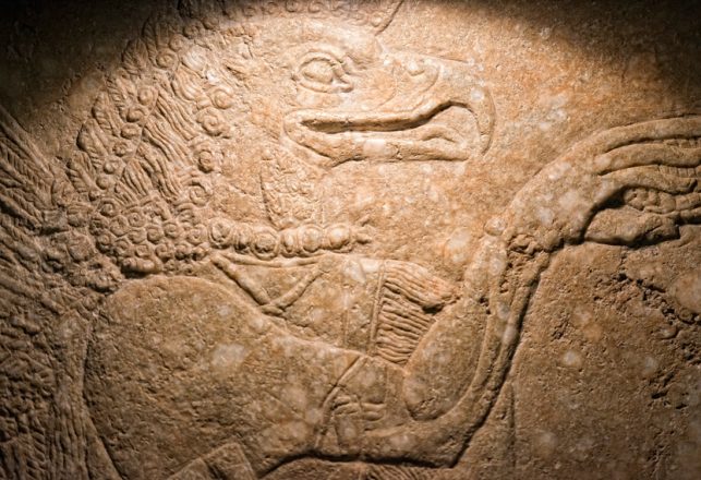 Ancient Immortality Technology in Iraq – Allegedly