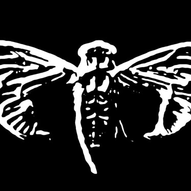 The Eerie Enigma of Cicada 3301