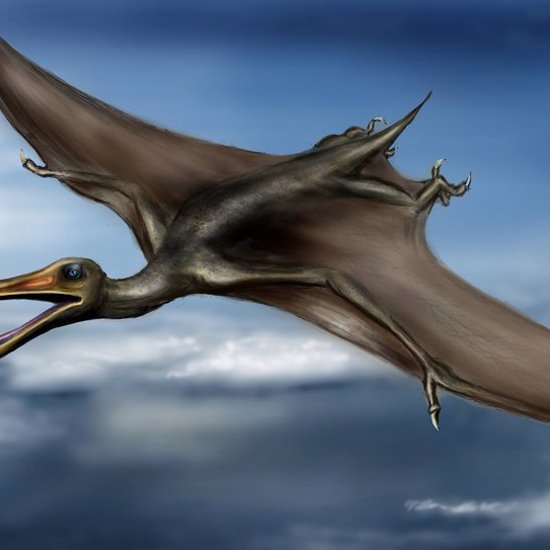 Pterosaurs of the Ghostly Kind