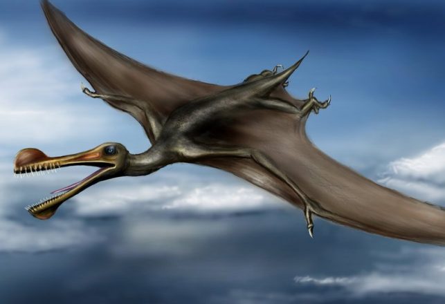 Pterosaurs of the Ghostly Kind