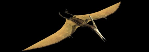 pterosaur wide 570x201