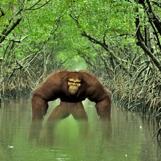 Eerie Accounts of “Swamp Monsters” in Louisiana
