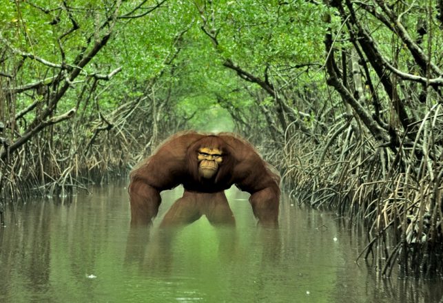 Eerie Accounts of “Swamp Monsters” in Louisiana