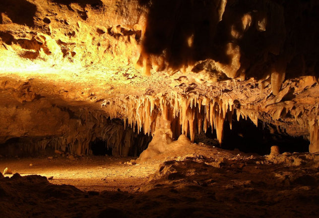 The Incredible Animal Life of Tennessee’s Uncharted Cave Systems