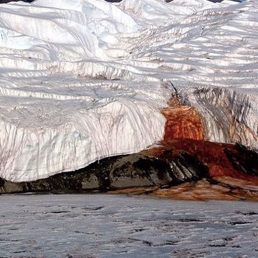 Blood Falls Explained But Purple Water Still a Mystery