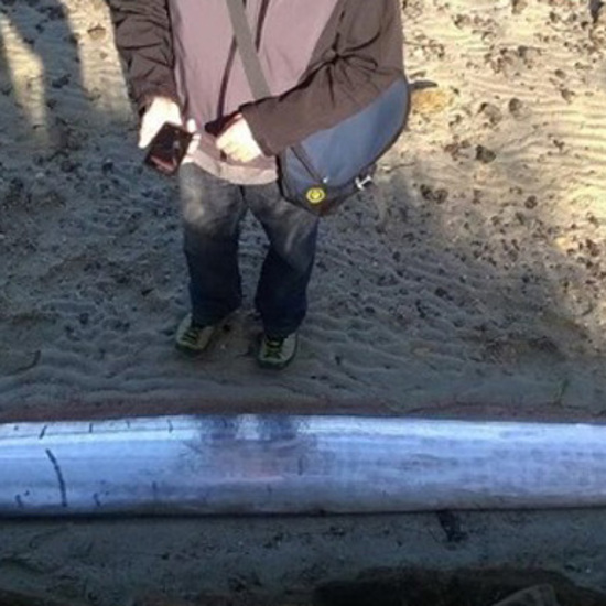 Dead Oarfish May Mean Earthquakes for New Zealand