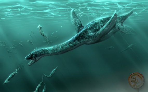 Plesiosaur by IRIRIV 570x353