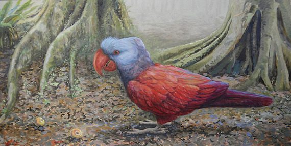 mauritius 2 raven parrot rwinters 570x287