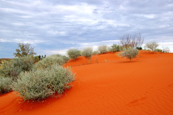 red sand dune welford np 570x379