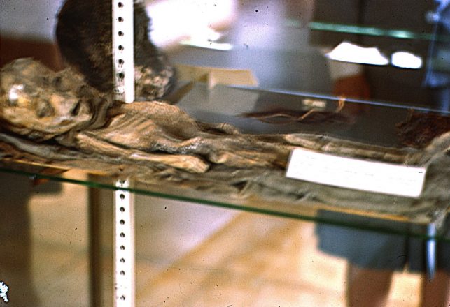 The Alien Mummy: The Oldest Hoax In UFO history