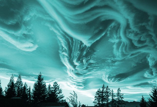 These Eerie Noises in British Columbia May Have Just Been Identified