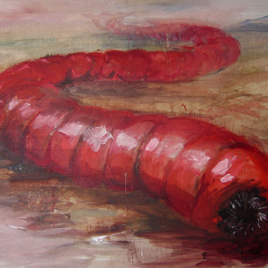 Beware of the Mongolian Death Worm!