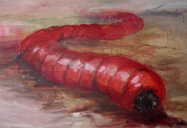 Beware of the Mongolian Death Worm!