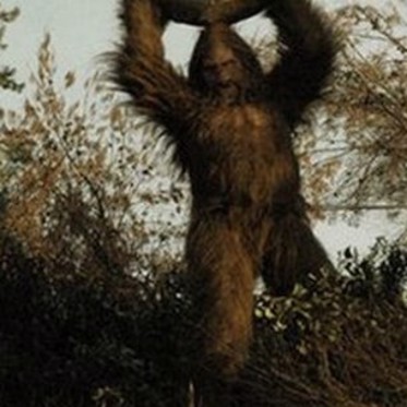 Michigan Police Look for Horse-Killing Sasquatch or Big Cat