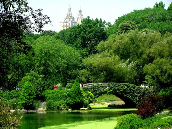 holiday travel tips new york ny usa central park pond 570x426