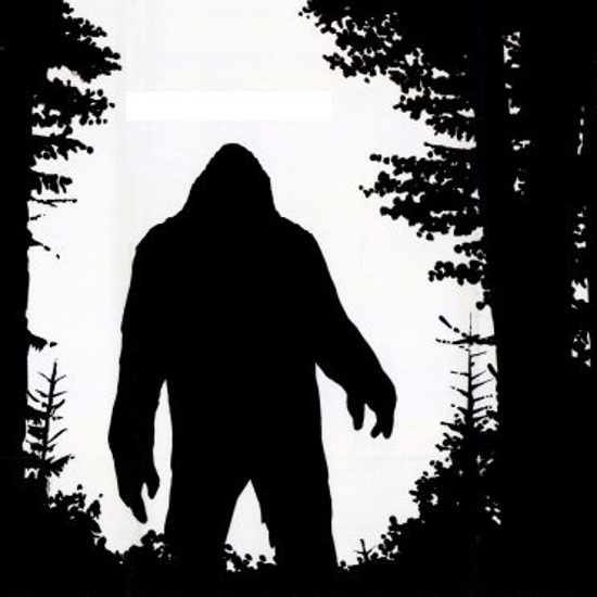 Profiling “The Bigfoot Book”