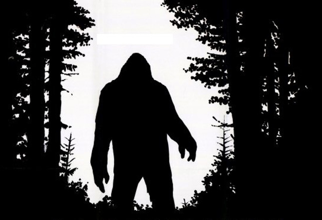 Profiling “The Bigfoot Book”