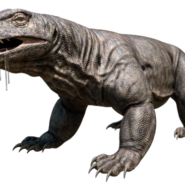 Megalania – A Monster Still Among Us?