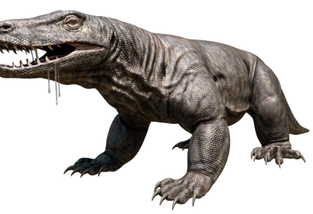 Megalania – A Monster Still Among Us?