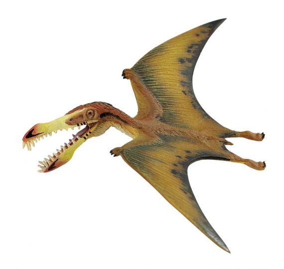 Pterosaur 570x540