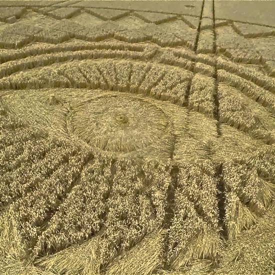 Crop Circles and Confiscated Computers