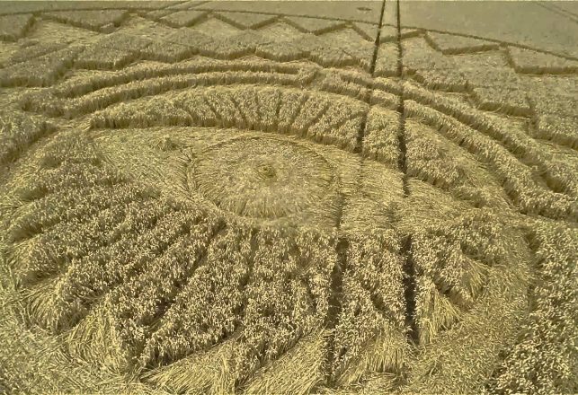 Crop Circles and Confiscated Computers