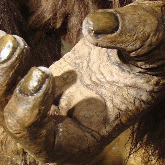 A Hairy Hand of the Horrific Kind
