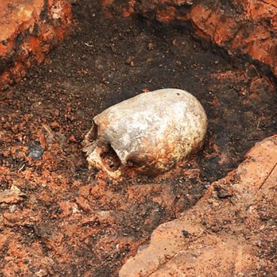 Elongated Skull Found at Russian Stonehenge